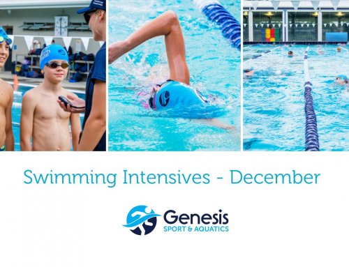 Swim Intensives – December Holidays